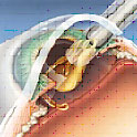 Cancer Hospital Hyderabad, Healthcare Facilities In Hyderabad, Medical Facilities